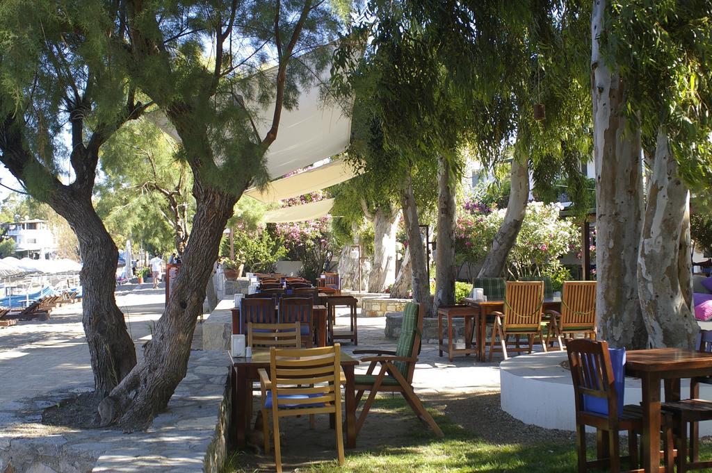 Arriba Pension & Restaurant Gümüşlük Exterior foto